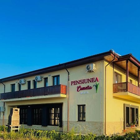 Pensiunea Camelia Baia Bagian luar foto