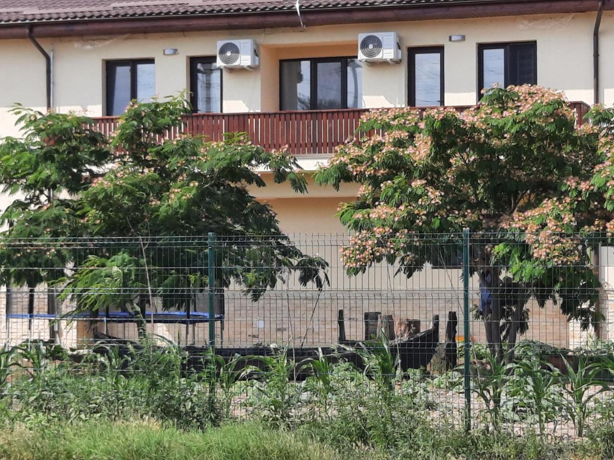 Pensiunea Camelia Baia Bagian luar foto