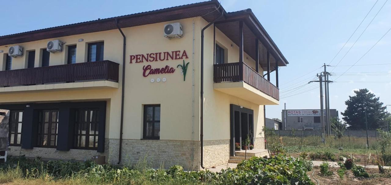 Pensiunea Camelia Baia Bagian luar foto