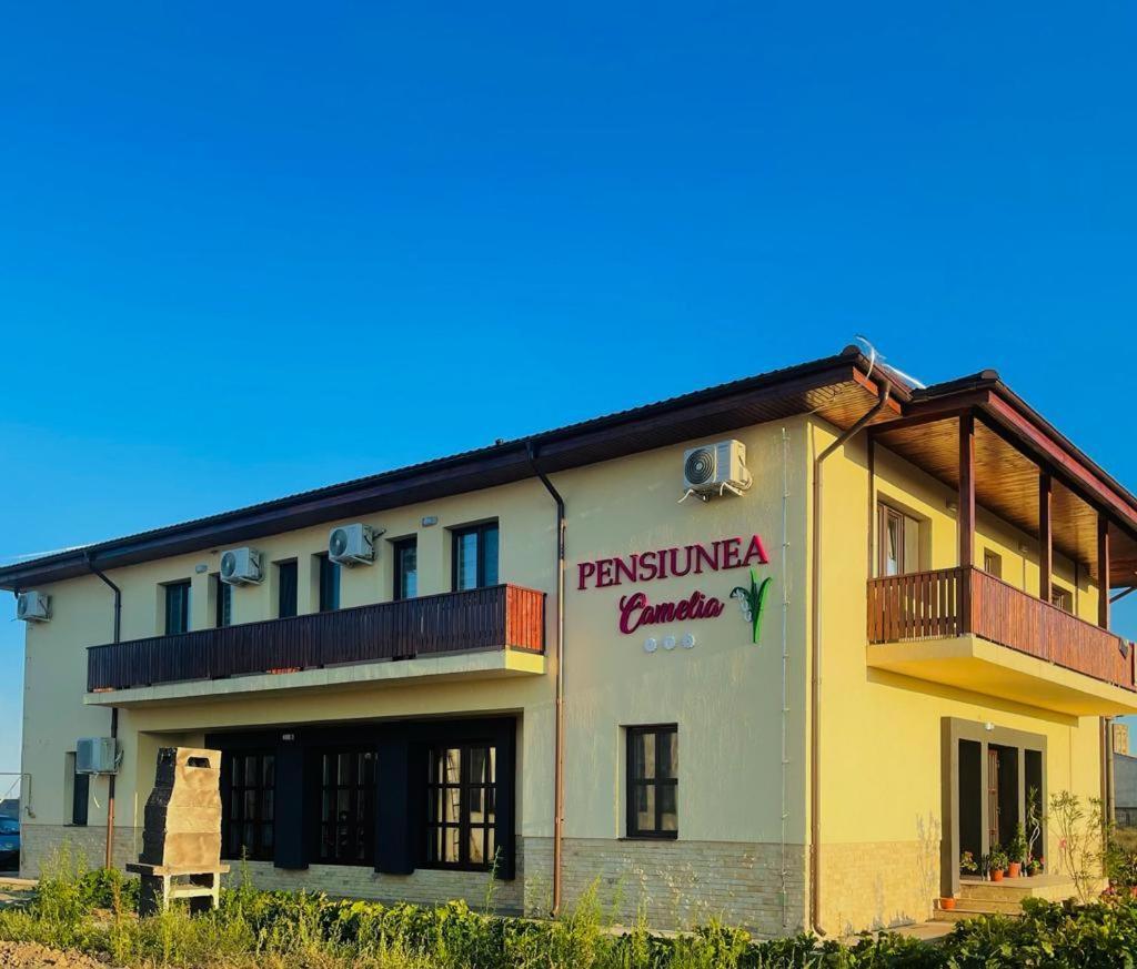 Pensiunea Camelia Baia Bagian luar foto