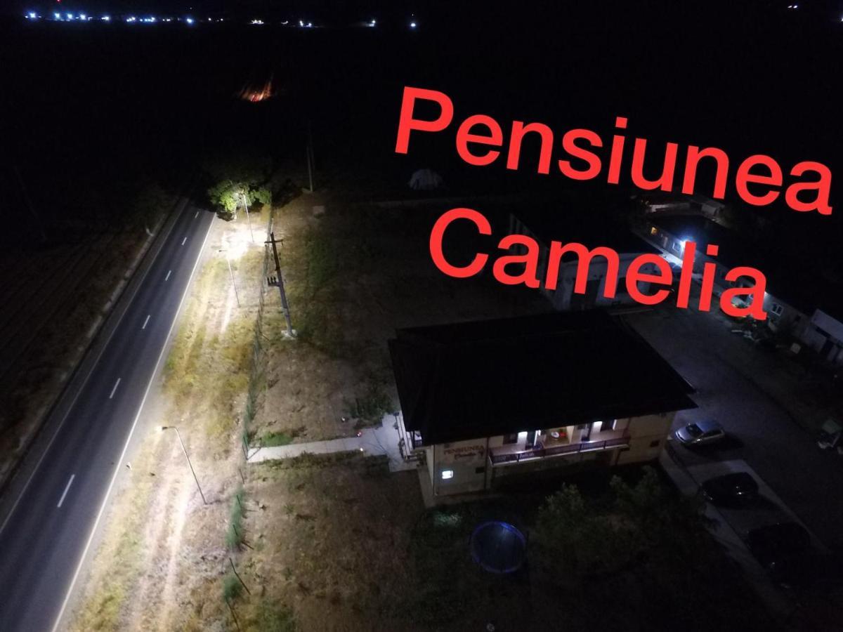 Pensiunea Camelia Baia Bagian luar foto