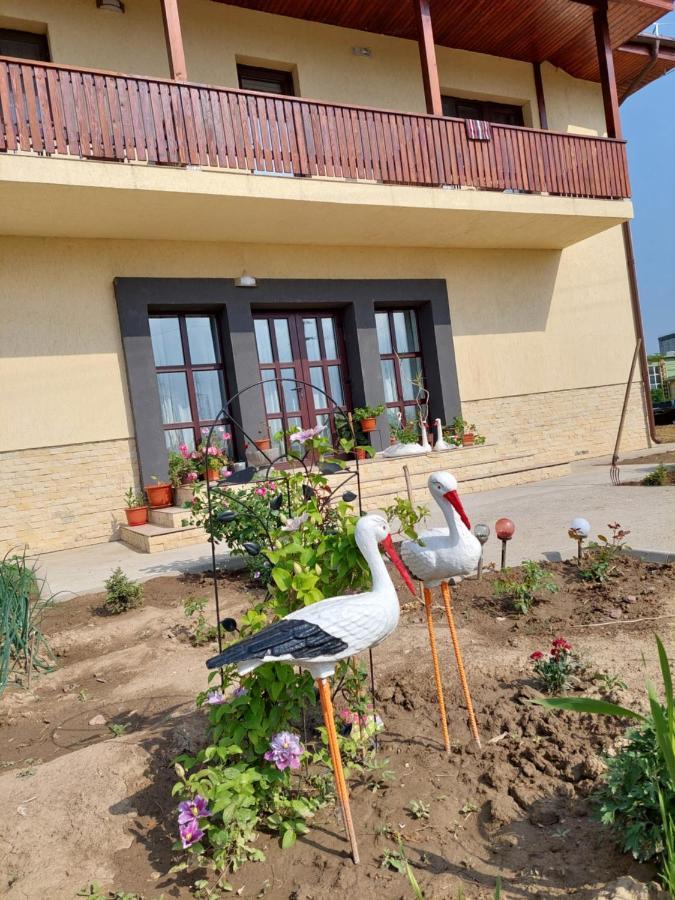 Pensiunea Camelia Baia Bagian luar foto