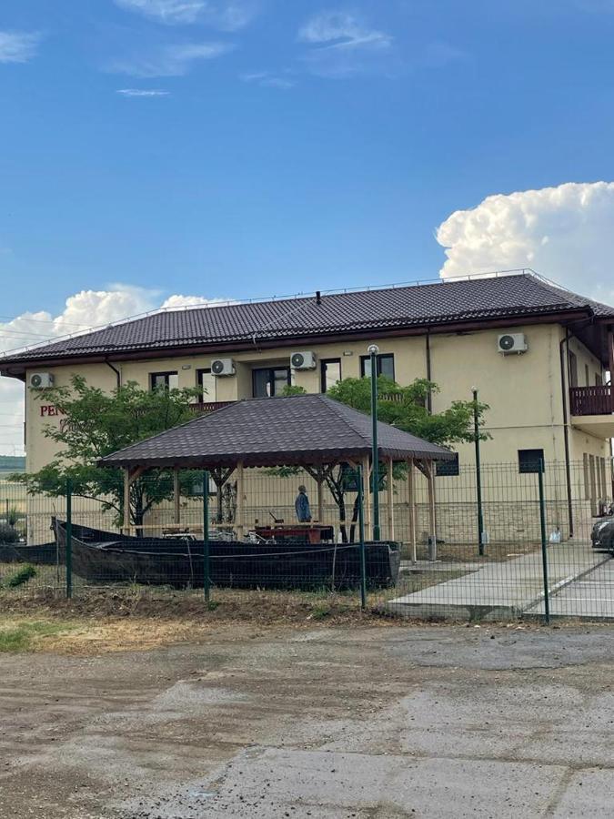 Pensiunea Camelia Baia Bagian luar foto