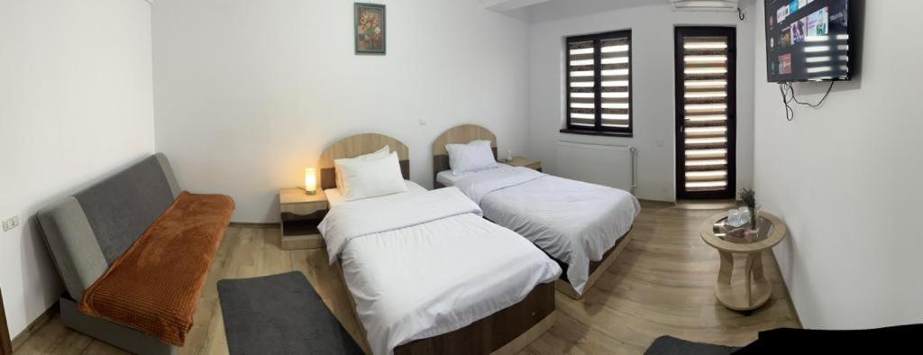 Pensiunea Camelia Baia Bagian luar foto