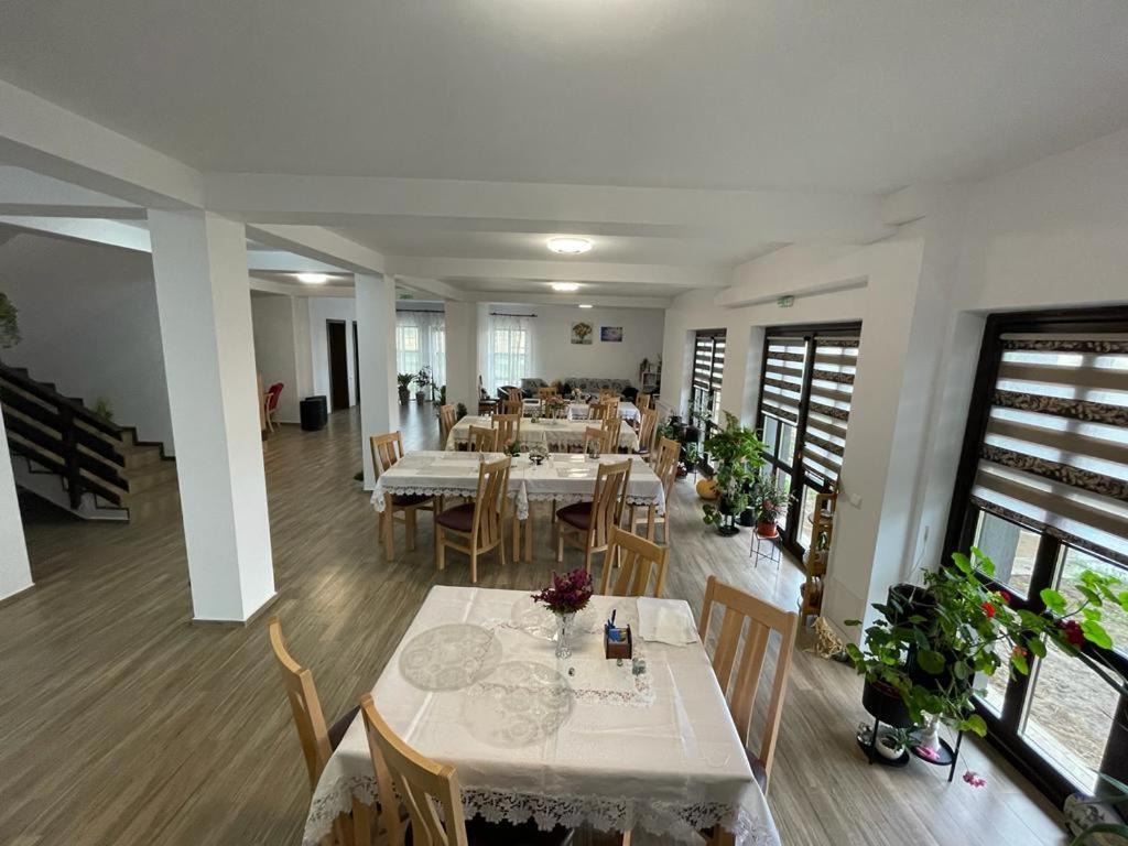 Pensiunea Camelia Baia Bagian luar foto